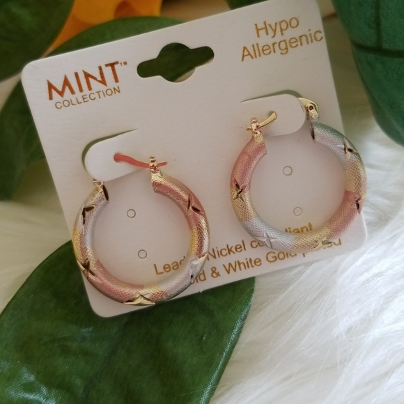 Mint Collection 14K Gold& White Gold Plated Hoop - Picture 2 of 2